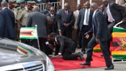 ZimPlus: Mugabe Fall Creates Media Frenzy, Thursday, February 5, 2015