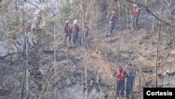 El comandante del Cuerpo de Bomberos de Caracas, Pablo Antonio Palacios Salazar, compartió en Telegram imágenes del operativo en el lugar donde se estrelló una avioneta en el cerro El Volcán, estado Miranda. Cortesía