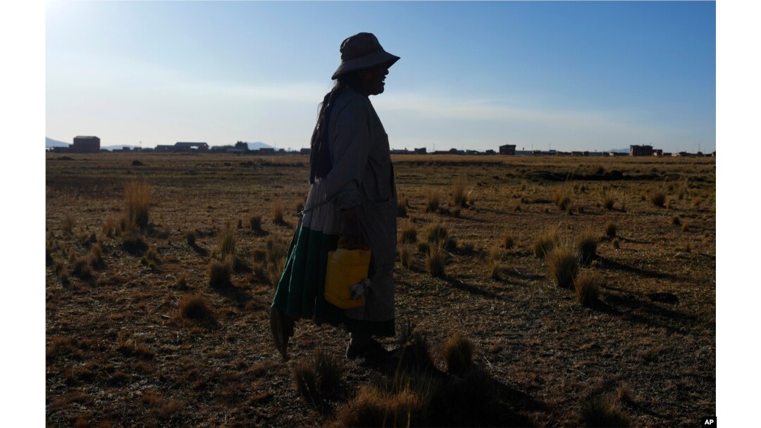 Martha Mamani membawa dua wadah berisi air yang diambil dari mata air terdekat dari lahan pertanian yang rusak akibat kemarau di Villa Andrani di pinggiran Kota El Alto, Bolivia, Jumat, 15 September 2023. (Foto: Juan Karita/AP)