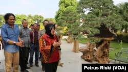 Wali Kota Surabaya Tri Rismaharini, saat melihat tanaman bonsai yang dipamerkan pada Festival Bonsai Nusantara (foto VOA/Petrus Riski)