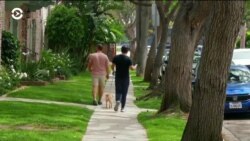 Настоящее Время. Америка – 22 мая 2019