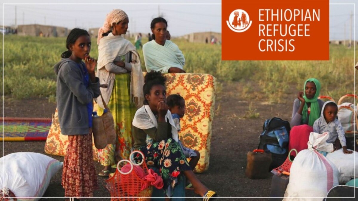 Voyaga etgan toifasi