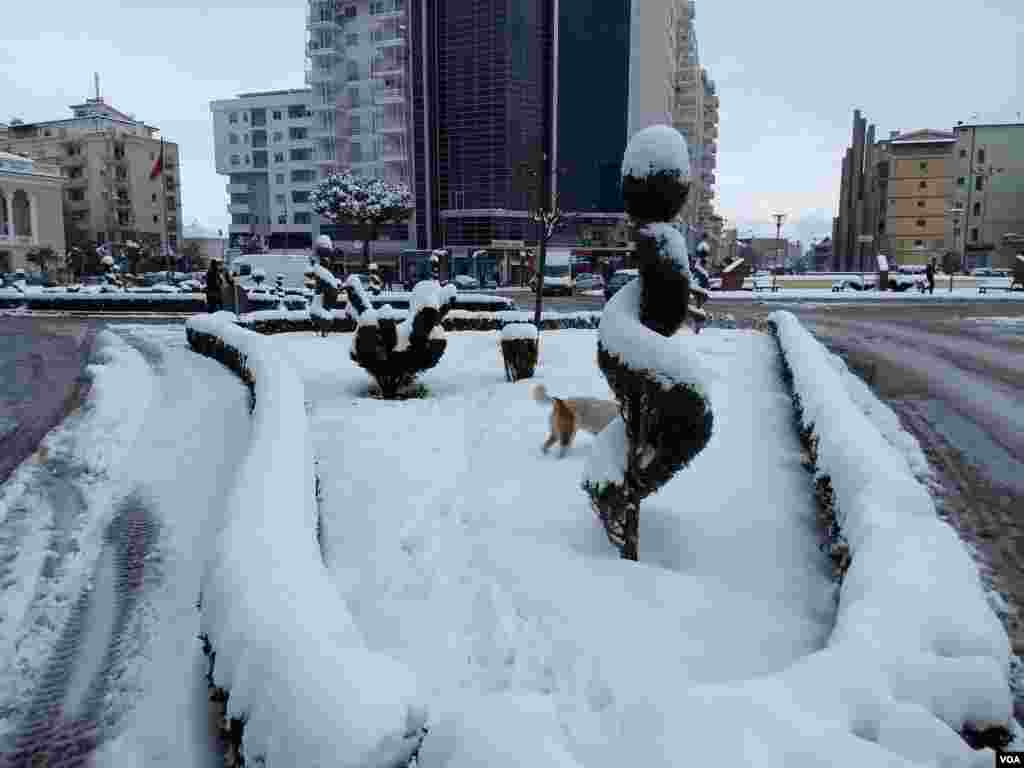 Shkodra snow 