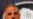 Holder enfrenta duras críticas
