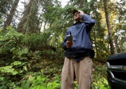 In this Oct. 23, 2018 photo, Dave Wiens, a biologist who works for the U.S. Geological Survey, stands in a forest near Corvallis, Ore., as he uses a remote control to trigger a digital bird calling device intended to attract barred owls to be culled.