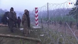 ԵՄ մեղադրում է Բելառուսին՝ ներգաղթյալների միջոցով սահմանային ճգնաժամ հրահրելու մեջ