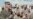 Nicholson: US Planning Religious, Diplomatic, Military and Social Pressure on Taliban