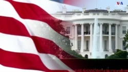 Սպիտակ տանն ուղղված ստորագրահավաք` Թուրքիային ՆԱՏՕ-ից հեռացնելու խնդրանքով