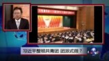 焦点对话：习近平整顿共青团，团派式微？