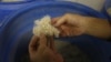 FILE - Biomass company CEO Ed Lehburger examines a barrel of shredded hemp on the way to being turned into pulp and used for paper and other products, at Pure Vision Technology, a biomass factory in Ft. Lupton, Colo., May 19, 2015.