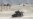 'Afghan' Special Forces Member Guns Down 3 US Soldiers