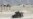 Tiga Tentara Amerika Tewas di Afghanistan timur
