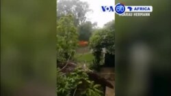 Manchetes Africanas 9 Janeiro 2018: Ciclone Ava abate-se sobre Madagáscar