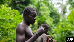 FILE - A Pygmy man from the Bagyeli tribe shows plants used for the traditional treatment of malaria on May 26, 2017, in the Kribi region of Cameroon.