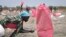 FILE - a woman scoops fallen sorghum grain off the ground after an aerial food drop by the World Food Program (WFP) in the town of Kandak, South Sudan. Oct. 6, 2020. (AP Photo/Sam Mednick, File) No Healing