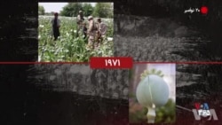 گاه‌شمار تاریخ آمریکا - ۲۰ نوامبر: از چراغ راهنمایی سه‌رنگ تا انتشار نخستین نسخه ویندوز