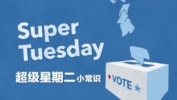 超级星期二(Super Tuesday)小常识