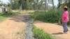 A citizen in Harare, Zimbabwe, looks at raw sewage that experts say is causing cholera, Nov. 13, 2024.