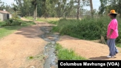 A citizen in Harare, Zimbabwe, looks at raw sewage that experts say is causing cholera, Nov. 13, 2024.