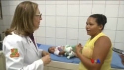 Zika ဗိုင်းရပ်စ်ပိုး အန္တရာယ်