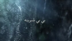 بي بي شیرینه – په ټیلې ویژن