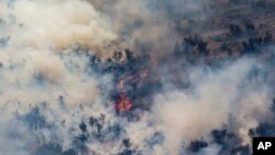 آتش‌سوزی جنگلی در شرق اسپانیا - ۱۸ اوت ۲۰۲۲ (۲۷ مرداد ۱۴۰۱)