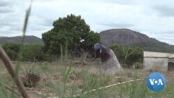 WFP Sees $200 Million Gap as Food Insecurity Rises in Zimbabwe