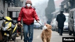 တရုတ်နိုင်ငံ၊ ဘေဂျင်းမြို့မှာ လေထုညစ်ညမ်းမှု ကာကွယ်တဲ့ နှာခေါင်းအုပ်နဲ့ ခွေးကျောင်းထွက်လာသူ တစ်ဦး။ (ဖေဖော်ဝါရီ ၂၃၊ ၂၀၁၄)
