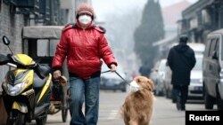 A man and his dog, both wearing masks, walk along a small alley on a hazy day in Beijing, February 23, 2014. 