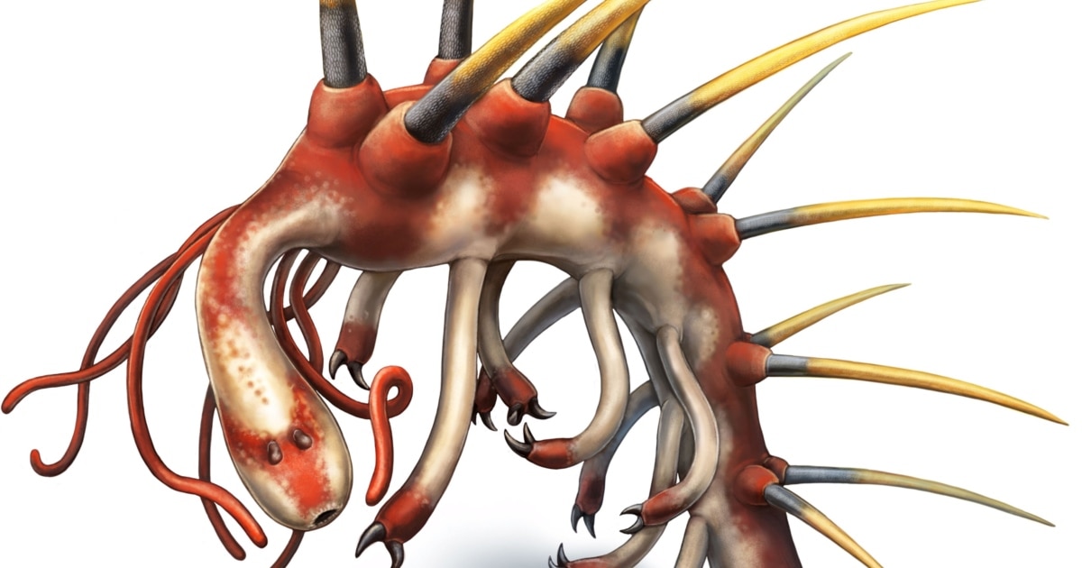 It's No Hallucination, That Creature Is Just Really Weird