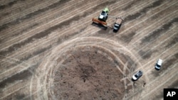 (FILE) A Ukrainian farmer collects harvest in a field around a crater left by a Russian rocket.