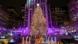 Legendarna novogodišnja jelka u Rockfeller centru u New Yorku.