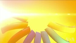 美国观察 2019年3月1日