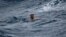 A man treads water and awaits rescue crews approximately 32 miles southeast of Key West, Fla., on July 6, 2021. The U.S. Coast Guard and a good Samaritan rescued 13 people after their boat capsized off of Key West as Tropical Storm Elsa approached.