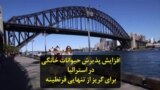 افزایش پذیرش حیوانات خانگی در استرالیا برای گریز از تنهایی قرنطینه