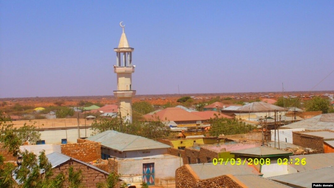 Buuhoodle