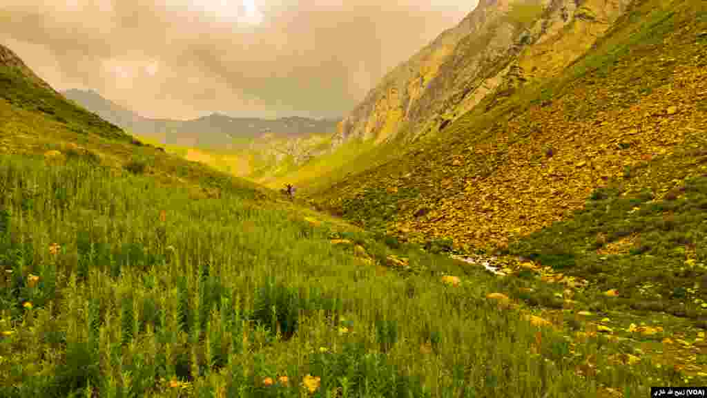 د نورستان ماڼۍ سیمه ده