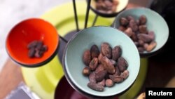 Cocoa beans are displayed a store in Caracas, April 10, 2015. 