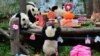 Anak-anak panda raksasa yang lahir pada tahun 2018 makan dan bermain bersama selama perayaan ulang tahun di pangkalan panda Shenshuping, Wolong, Sichuan, China. (China Daily)