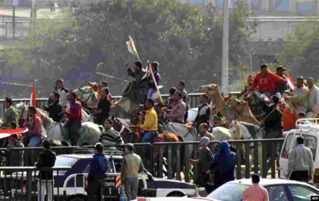 Supporters of President Hosni Mubarak, including some riding horses and camels and wielding whips, march towards anti-Mubarak protesters in Cairo, Egypt, Wednesday, Feb.2, 2011. Several thousand supporters of President Hosni Mubarak, clashed with anti-g
