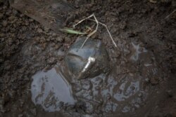 An unearthed cluster bomb lies in the mud in Xiangkhouang Province, December 2014. (Sean Sutton/MAG)