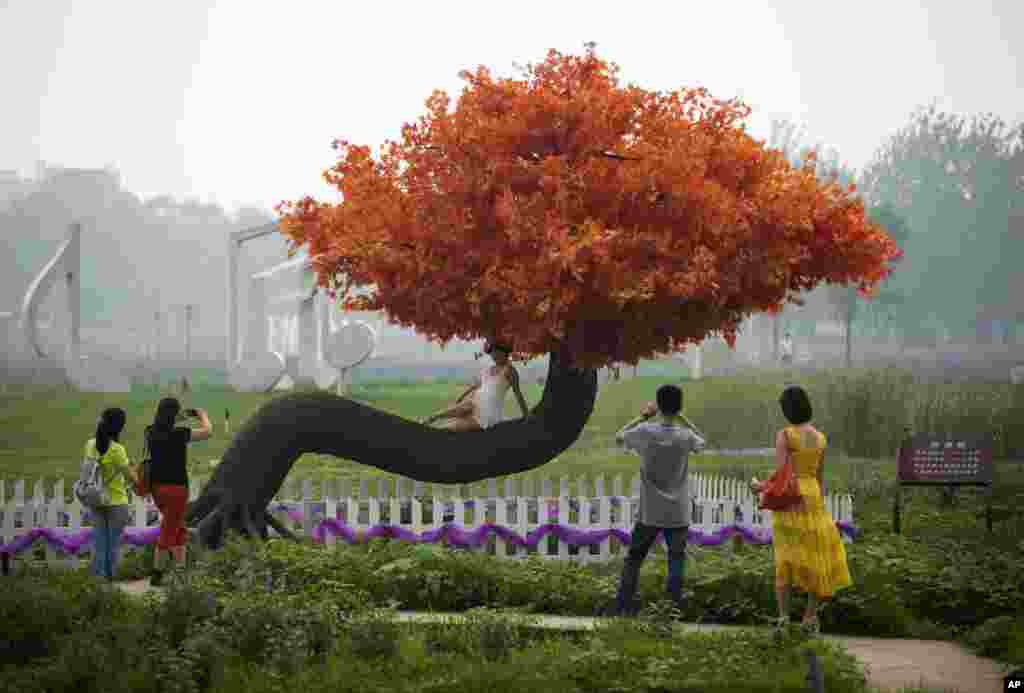 Chinese visitors take pictures of a wishing tree at a lavender farm shrouded with haze on the outskirts of Beijing, China.