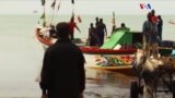 África Ocidental, os chineses e o peixe