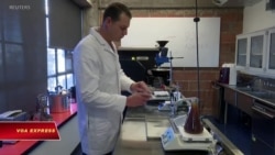 Cà phê không hạt ở Mỹ