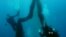 Divers Fight Damaging 'Ghost' Fishing Nets