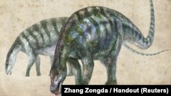 An artist's rendering of Lingwulong shenqi, a newly discovered dinosaur unearthed in northwestern China, appears in this image provided July 24, 2018. 