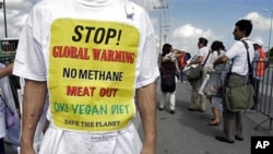 A protester stands outside the UN Climate Change Conference in Cancun, 30 Nov 2010