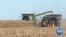 US Farmers Harvest Crops amid Trade, Impeachment Uncertainty