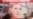 Ukraine Parliament Delays Vote on Tymoshenko Departure