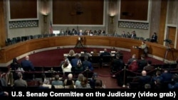 1월 14일에 열린 미국 상원 법사위원회 청문회